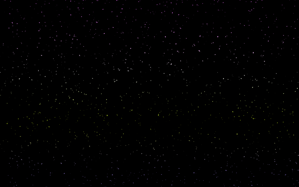 rec merch nov 2025 bg